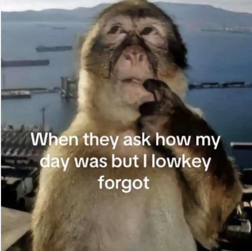 Monkey forgot day meme